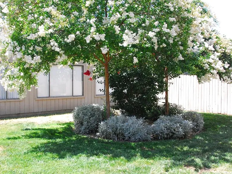 Exterior 3