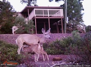 6309 Bull Elk Run, Show Low, AZ 85901