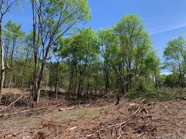 TRACT 4 Highway 11395 #84, Bismarck, AR 71929