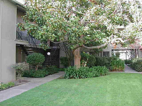 Wavecrest/Lanai Apartments — Photo 4