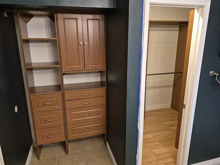 Ample bathroom closets