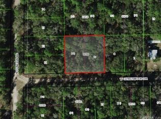 7661 W Citruswood Dr, Dunnellon, FL 34433