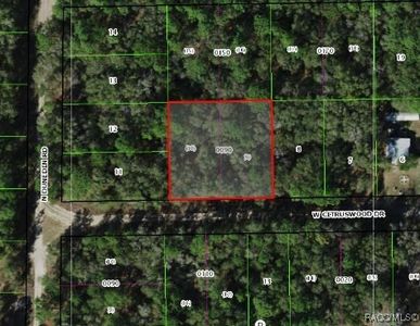 7661 W Citruswood Dr, Dunnellon, FL, 34433