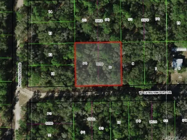 7661 W Citruswood Dr, Dunnellon, FL 34433