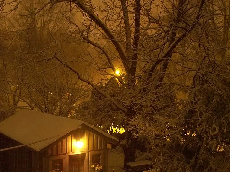 The Tool Shed seen from the Upstairs Family Room on a Snowy Day a few Years back.