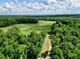 420 Comer Williams Rd, Brundidge, AL 36010