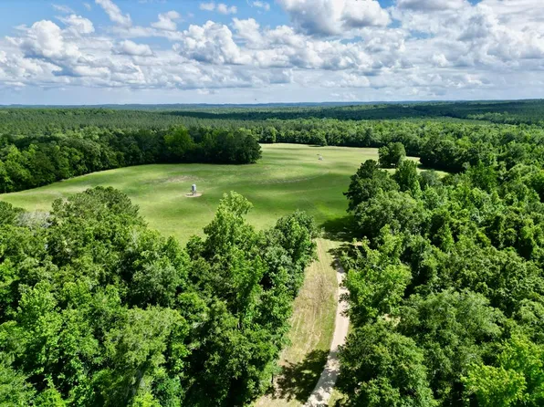 420 Comer Williams Rd, Brundidge, AL 36010