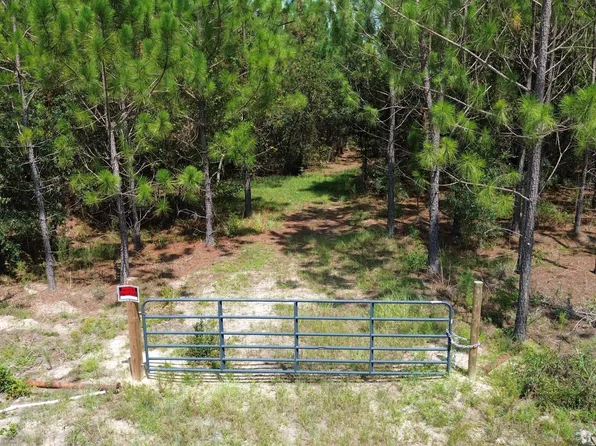TRACT 4 Penny Morris Rd, Baxley, GA 31513
