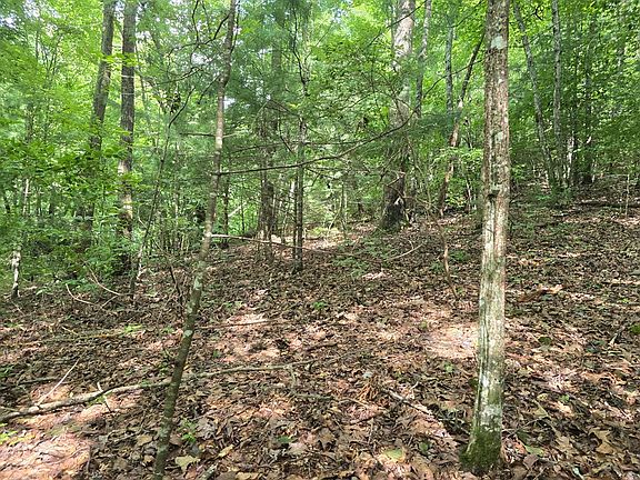 3rd image of Swallows Creek Rd