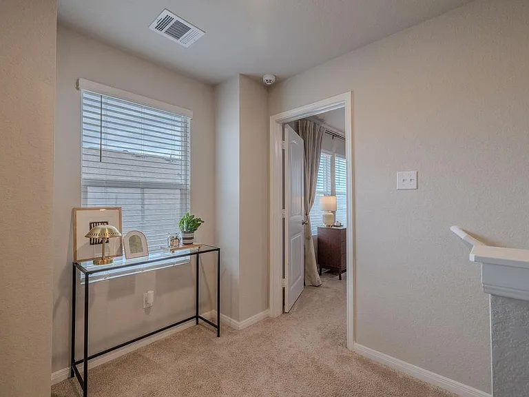 393 Apache Plum Dr — Photo 13