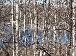 Sugar Ridge Ln, Carp Lake, MI 49718