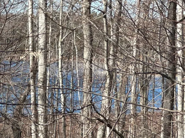 Sugar Ridge Ln, Carp Lake, MI 49718