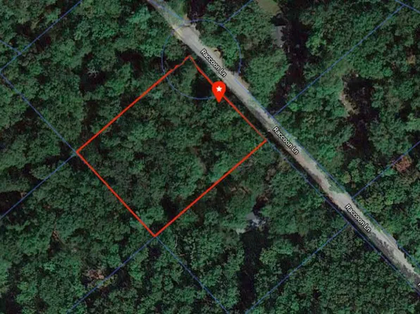 202 Raccoon Ln, Gerrardstown, WV 25420