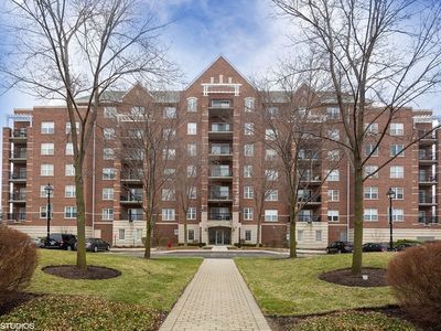 440 W Mahogany Ct UNIT 603, Palatine, IL, 60067