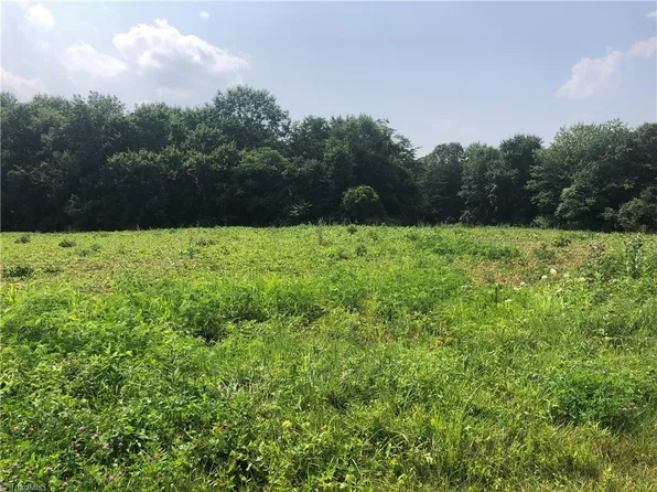 Simpson Mill Rd, Ararat, NC 27017