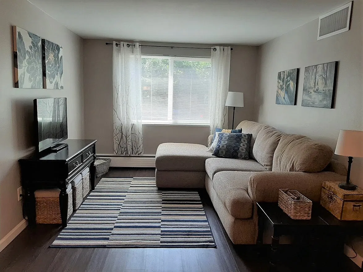 1 bed, 550 sqft, $1,310 — Photo 3