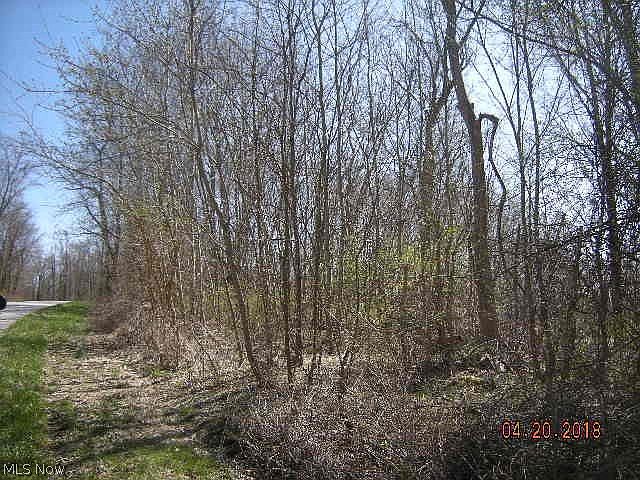 2nd image of 55 Township Rd
