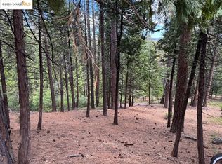 24871 Prospector Dr, Long Barn, CA 95346