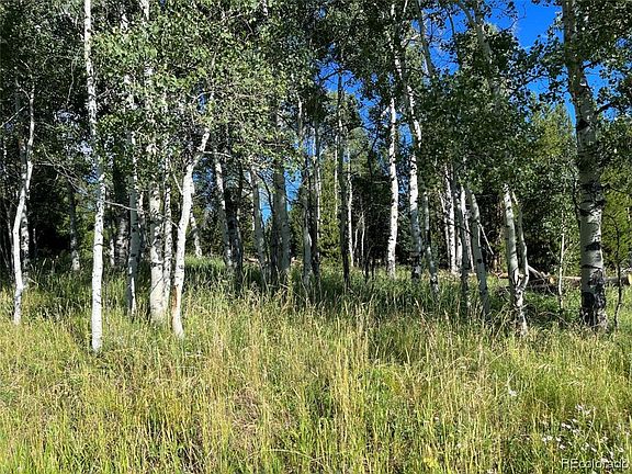 4th image of 20410 Silver Bit Trail