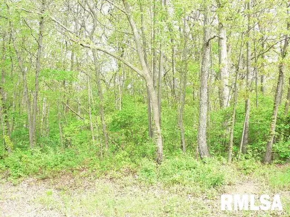 103 Sioux Dr, Hopewell, IL 61565