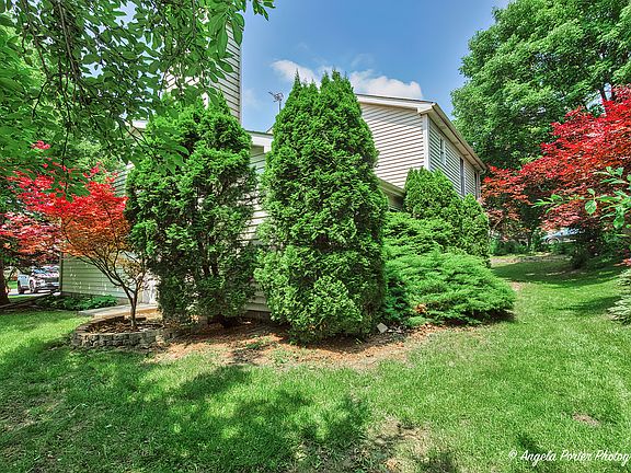 3rd image of 1003 White Pine Dr