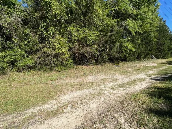 0 Lake Irene Dr, Jesup, GA 31545