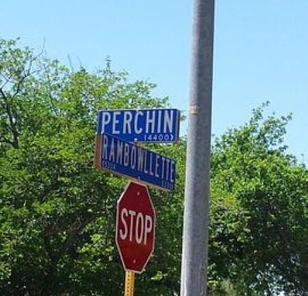 5th image of 14406 Perchin St