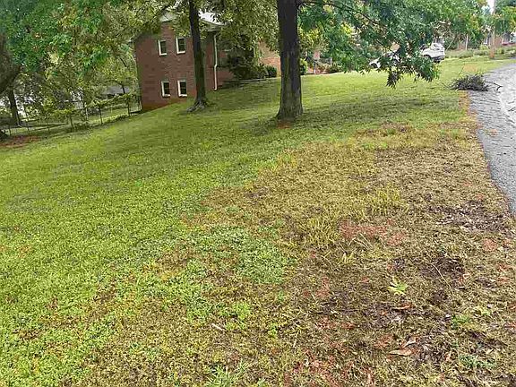 4th image of 108 Ashley St