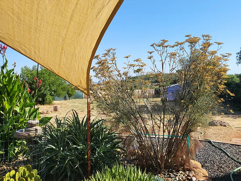 Laurel Oak Rd — Photo 9