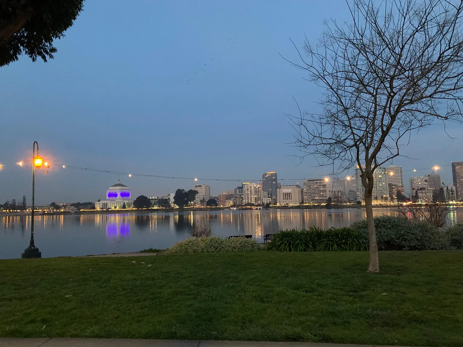 2 bed, 1240 sqft, $1,650 — Photo 3