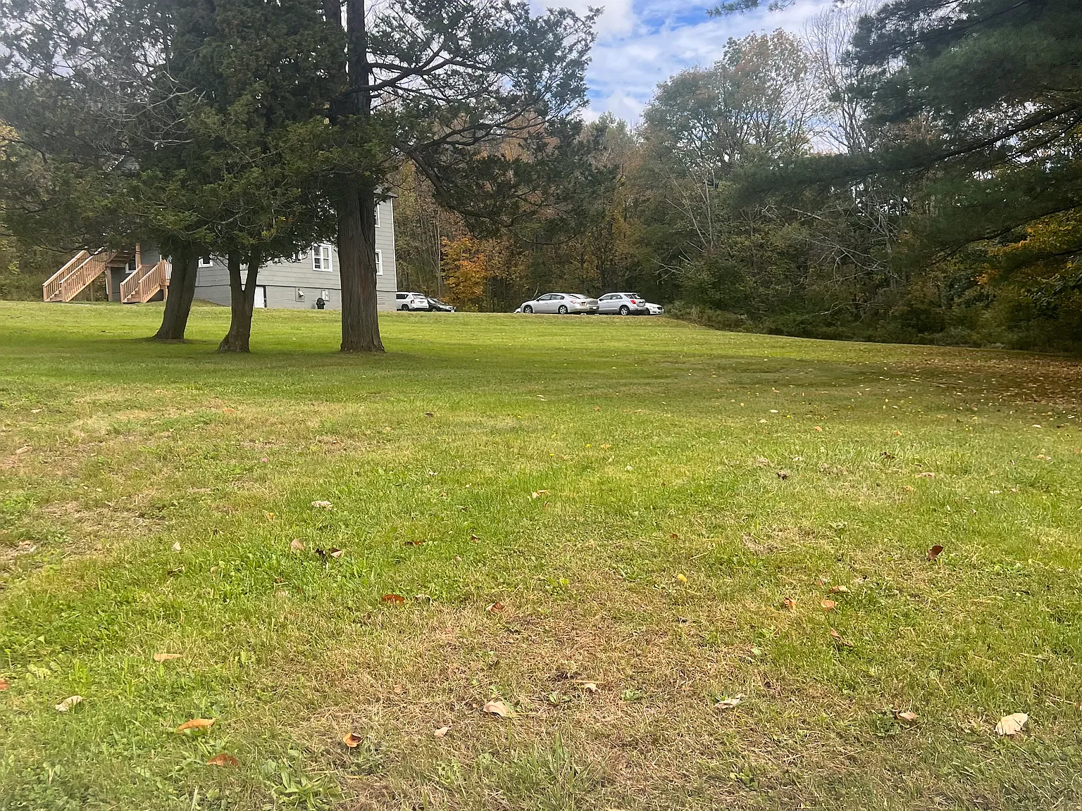1 bed, $1,350 — Photo 4