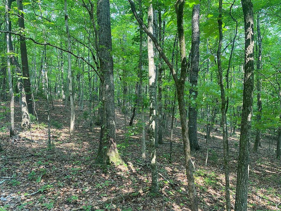 1st image of LOT 51 53 Squirrel Hunting Rd