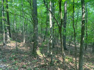 LOT 51 53 Squirrel Hunting Rd, Ellijay, GA 30536