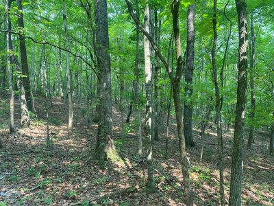 LOT 51 53 Squirrel Hunting Rd, Ellijay, GA, 30536