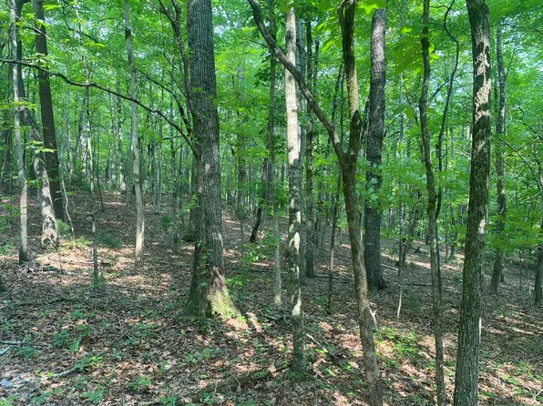 LOT 51 53 Squirrel Hunting Rd, Ellijay, GA 30536