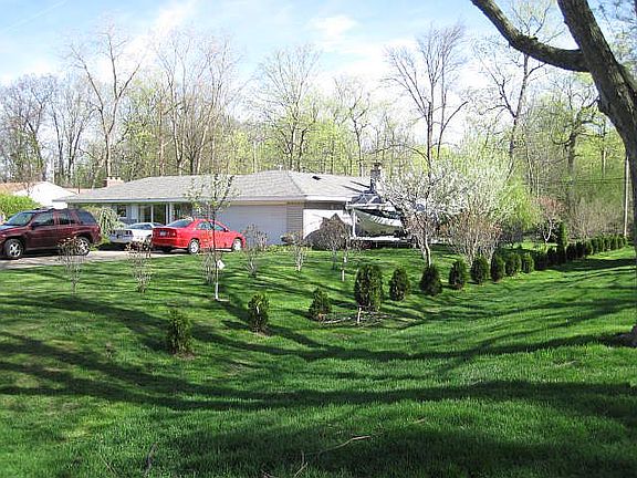 yard and woods