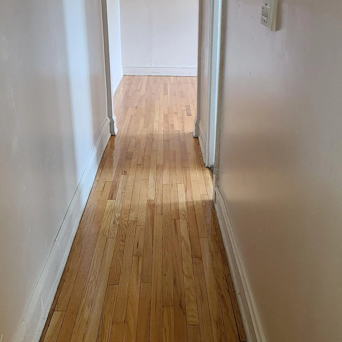 2 bed, 1500 sqft, $1,375 — Photo 3