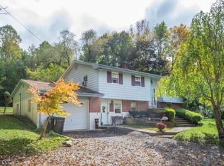 304 Mountain Lake Rd, Great Meadows, NJ 07838