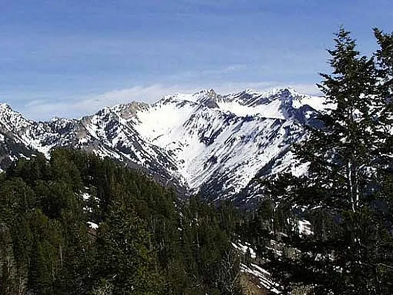 Window View