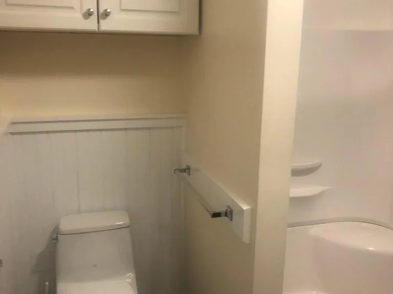 Toto toilet with shower
