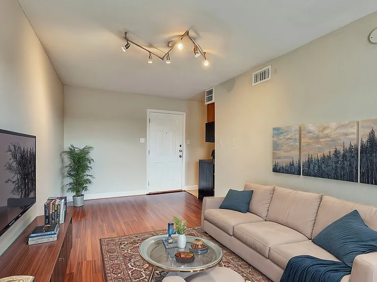 2020 S Congress Ave #1316 — Photo 3