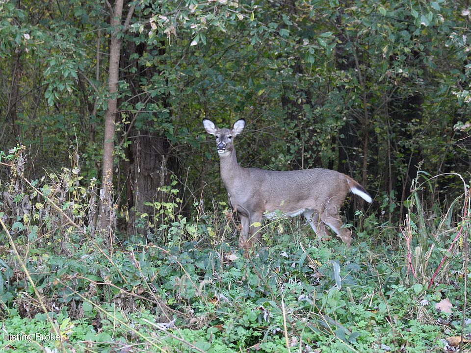 2nd image of 4256 State Highway 467