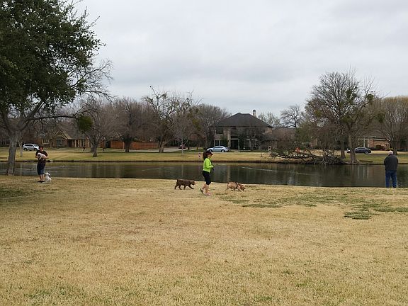 View of the neighborhood pond...it's even better in the spri