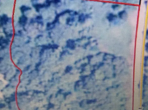 239 Oliver St, Buena Vista, GA 31803