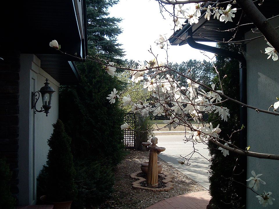 View from front door looking out to the street