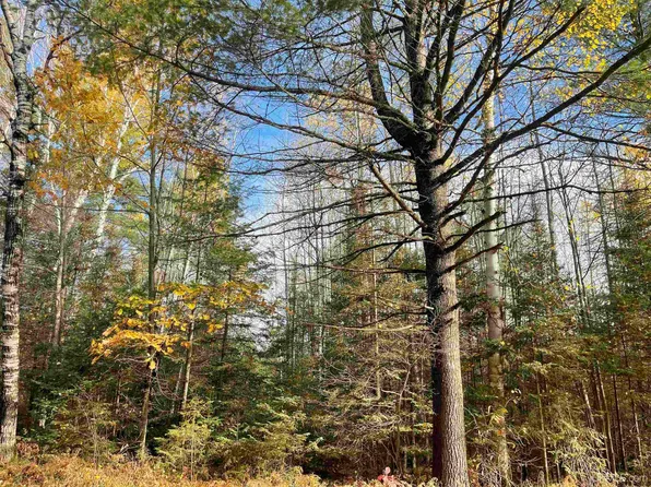 3260 W County Rd #565, Gwinn, MI 49841