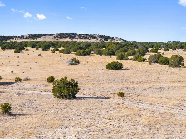 County Road 88, Model, CO 81059