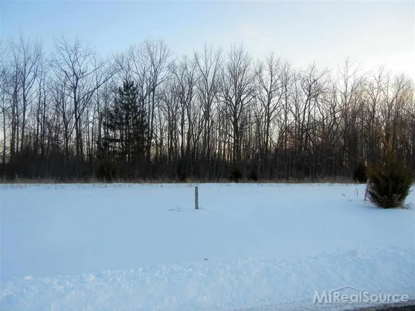 683 Woodvalley Dr, Corunna, MI 48817
