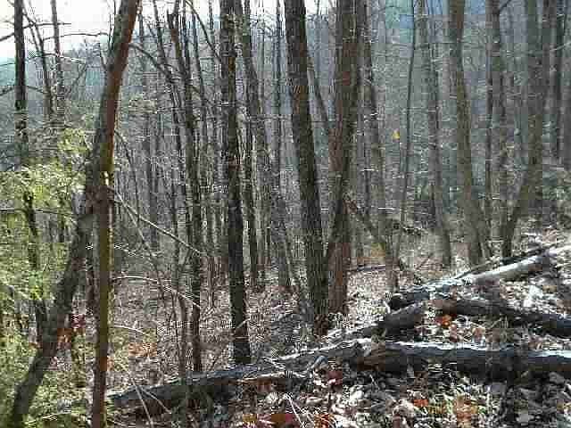 2nd image of 845 Orchard Dr Lot 845