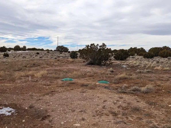 92 County Road 8620, Concho, AZ 85924